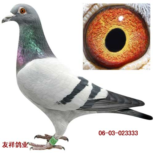东方不败直子023333
